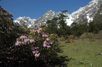 Sikkim Tour with North Sikkim Trek