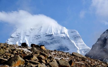 Simikot - Kailash - Kerung Tour
