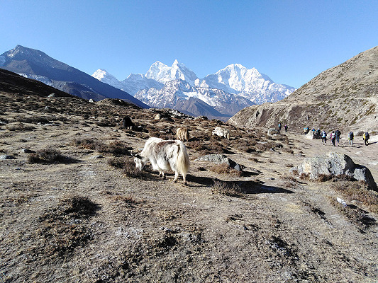 Mt. Thamsherku & Kangtega