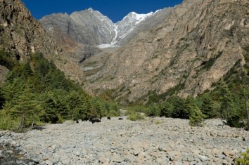 Upper Dolpo Trek (Dolpo Circuit)