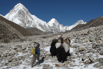 What are the best trekking routes in Nepal