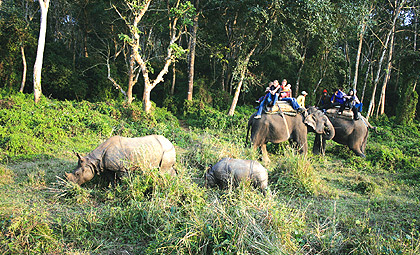 Nepal Wildlife and Culture Tour