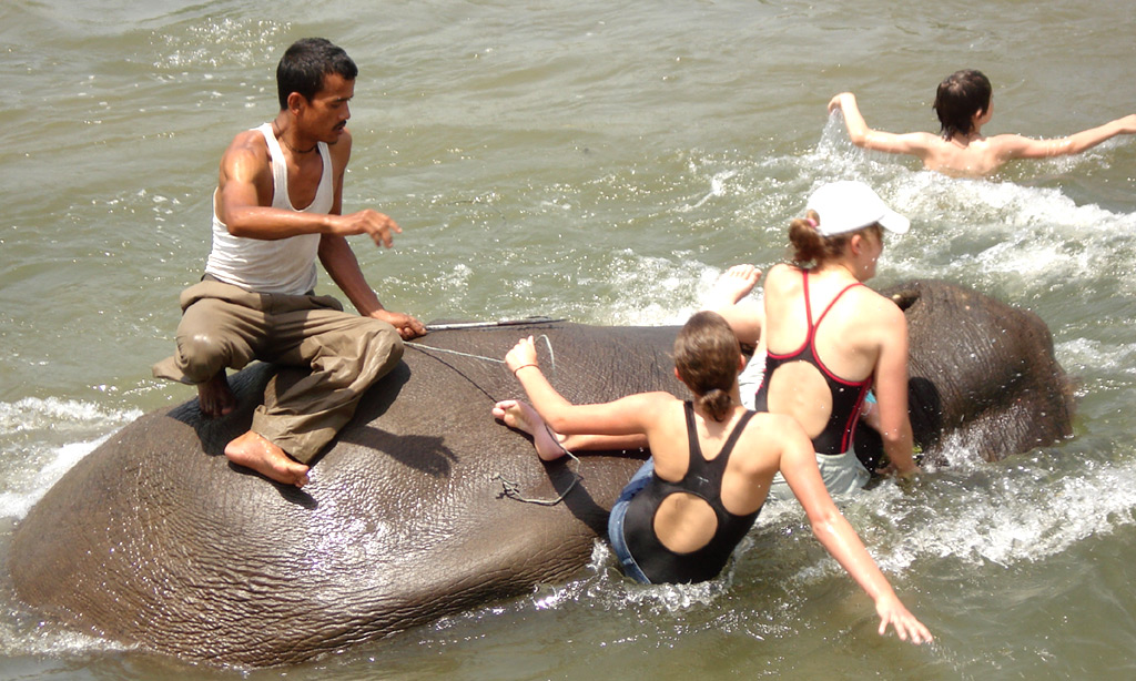 Chitwan Jungle Safari (3 Nights / 4 Days)