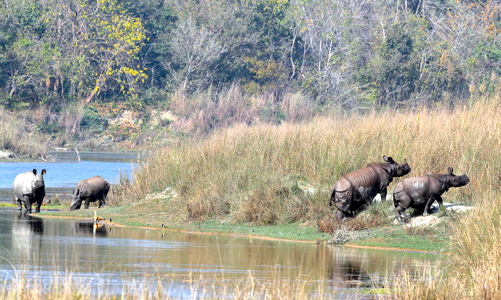 Bardiya Jungle Safari Tour (3 Days)