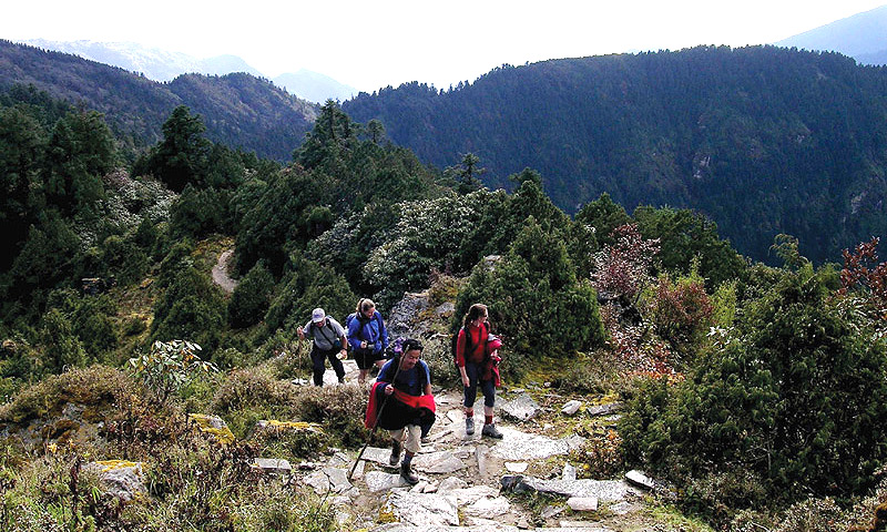 Chamapadevi Day Hiking Tour