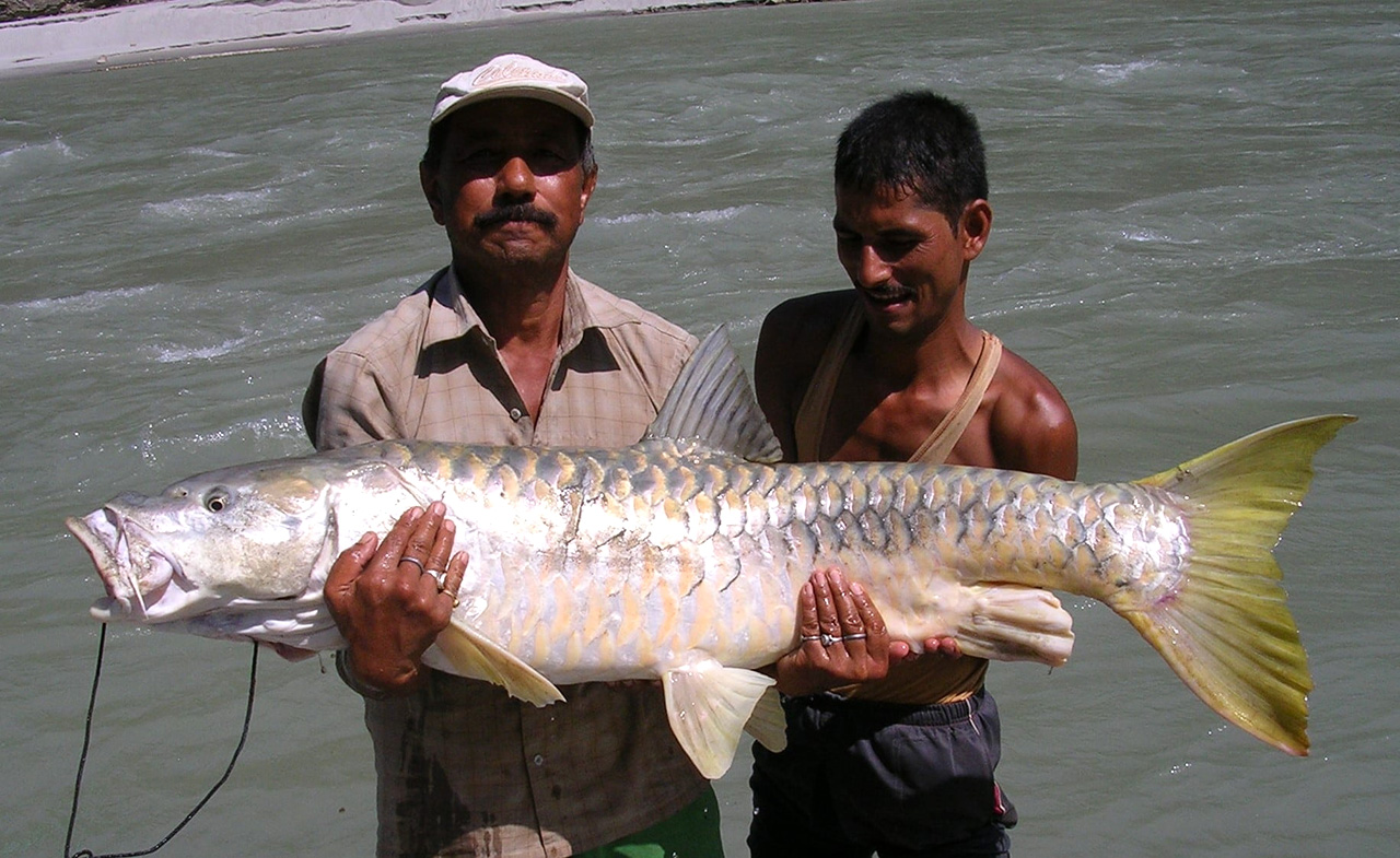 Fishing and Rafting in Bheri and Karnali River