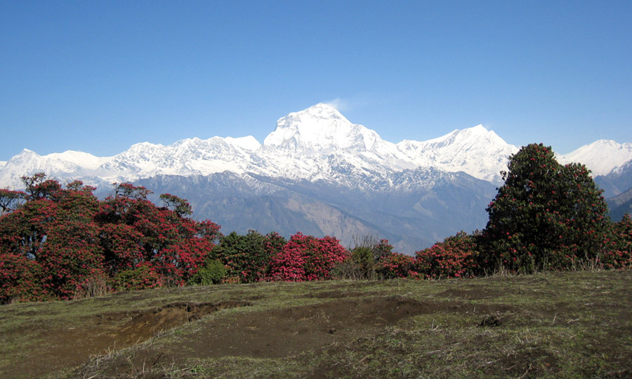 Ghorepani Trek with Kathmandu City Tour (10 Days)