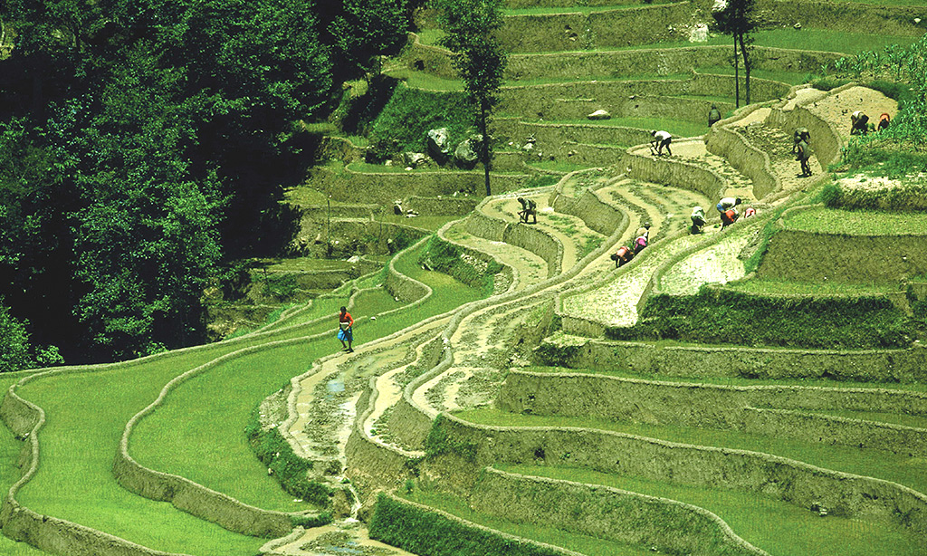 Kakani to Gurje Bhanjyang Hiking
