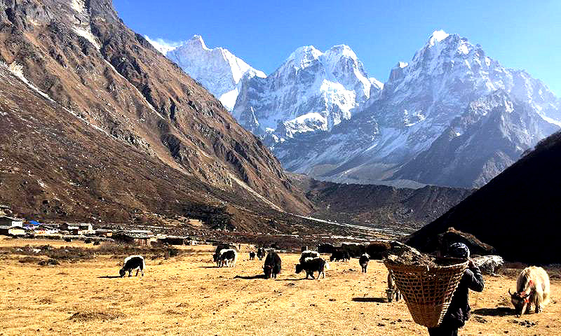 Kanchenjunga North and South Base Camp Trek
