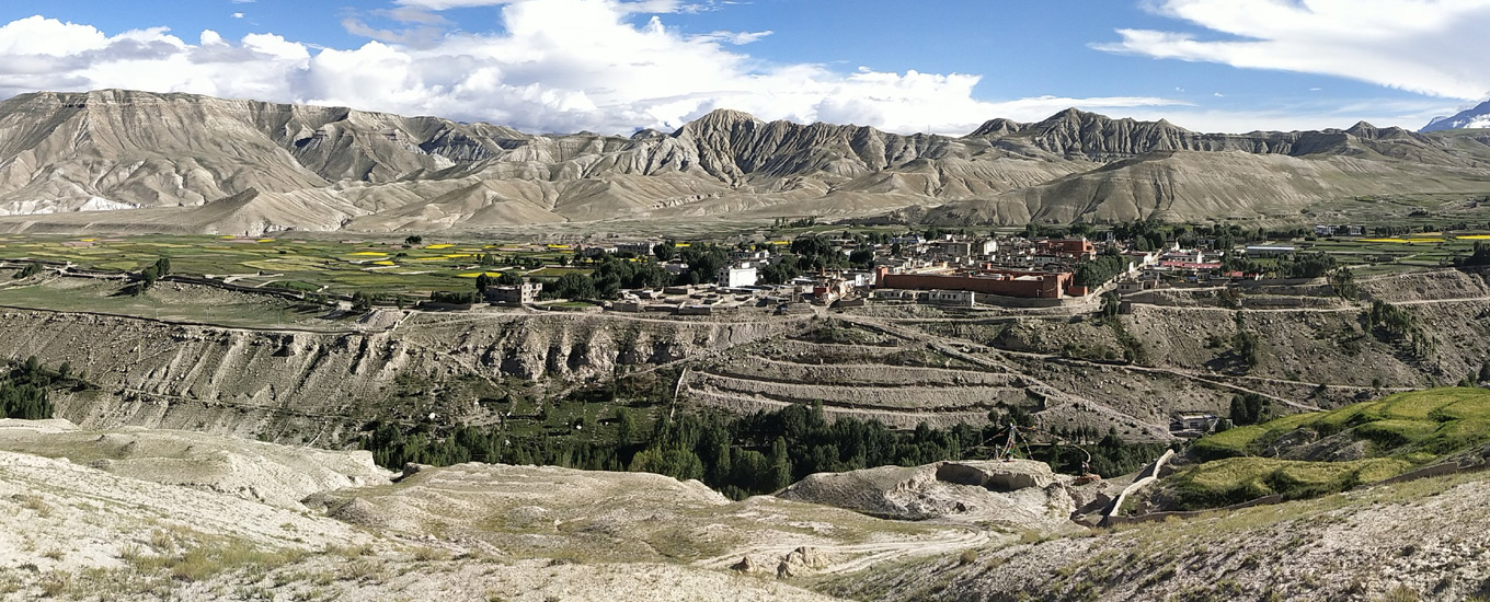 Mustang Trek
