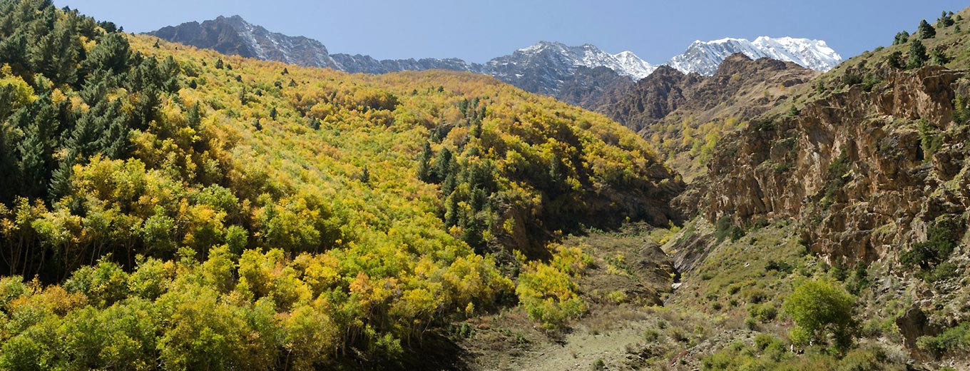 New Trekking Route