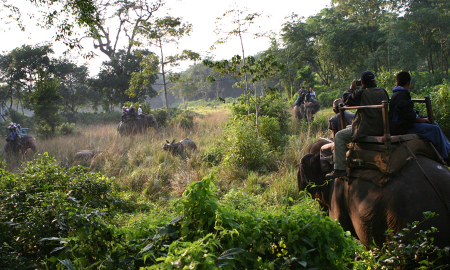 Kathmandu - Chitwan Tour