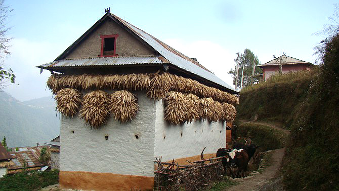 Sailung Trek (8 to 10 Days)