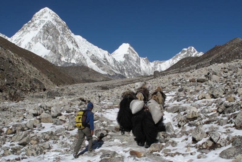 What are the best trekking routes in Nepal